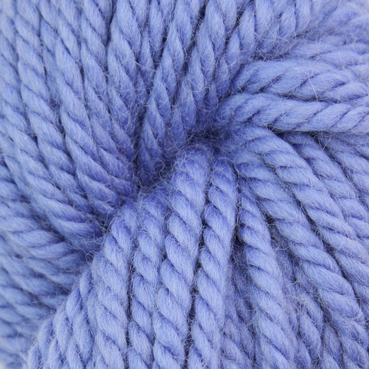 Blueberry