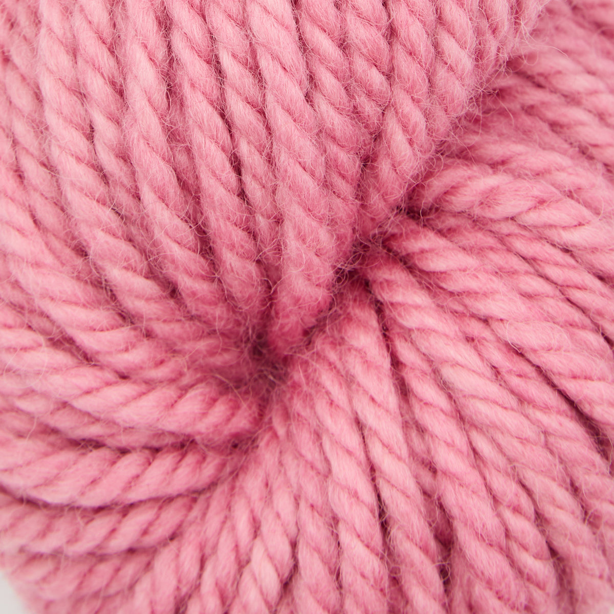 Dusty Rose