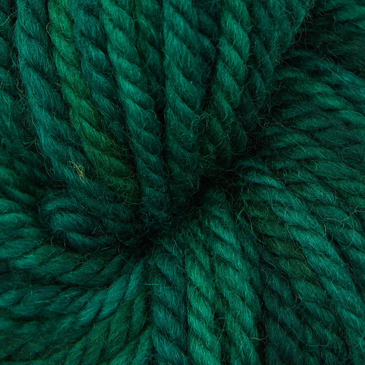 Evergreen Dark
