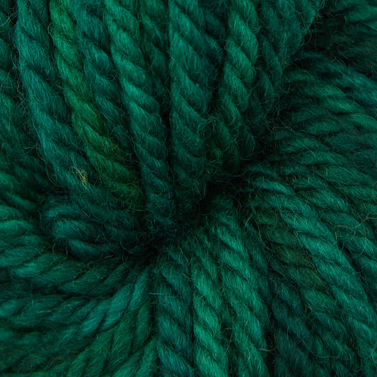 Evergreen Dark