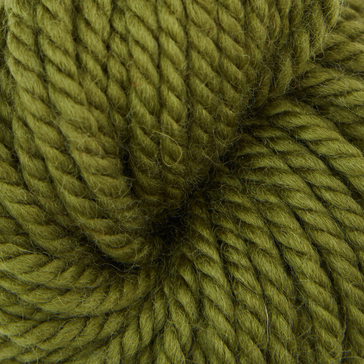 Green Olive