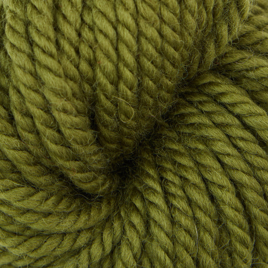 Green Olive