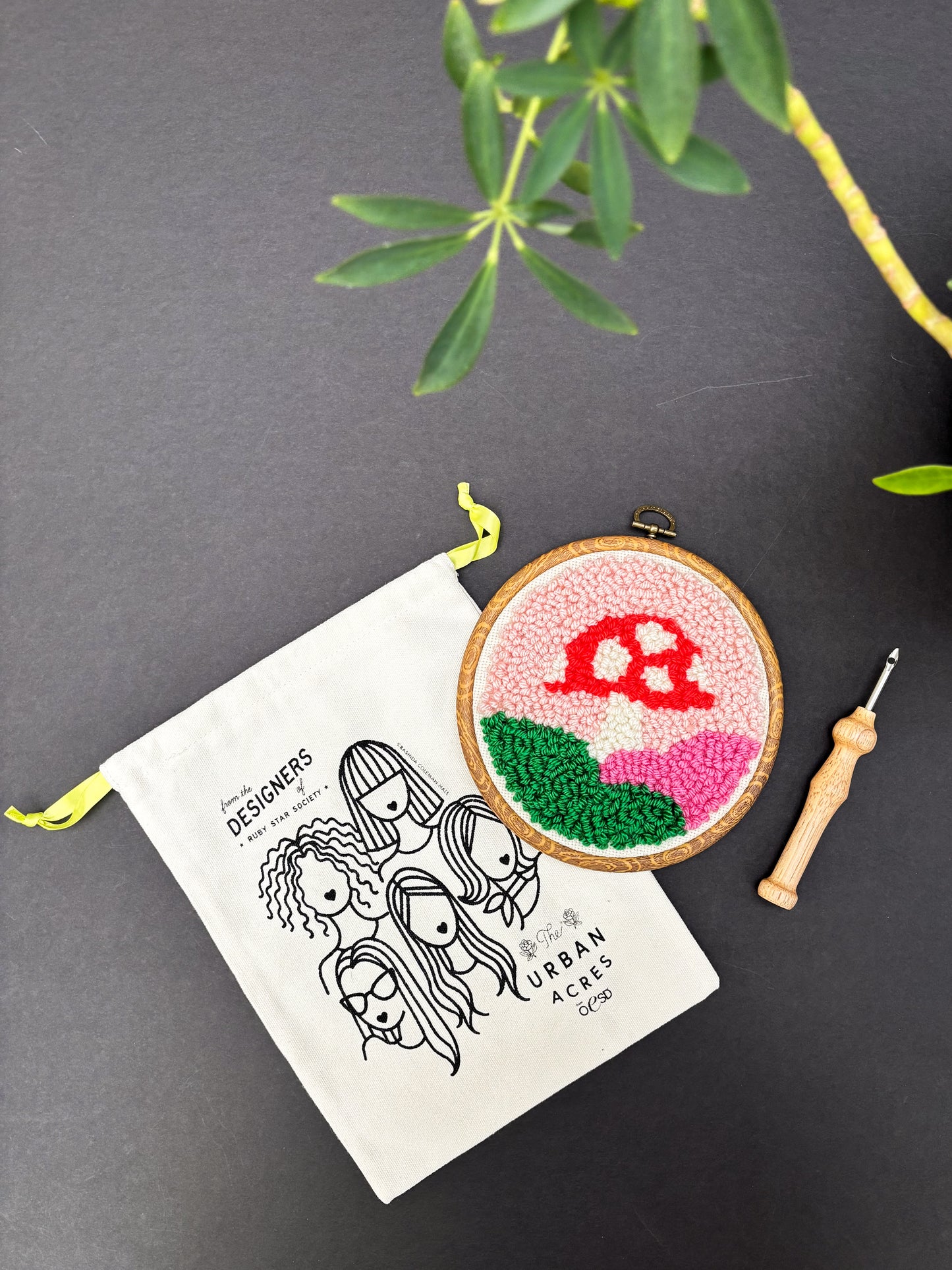 Mushroom by Melody Miller