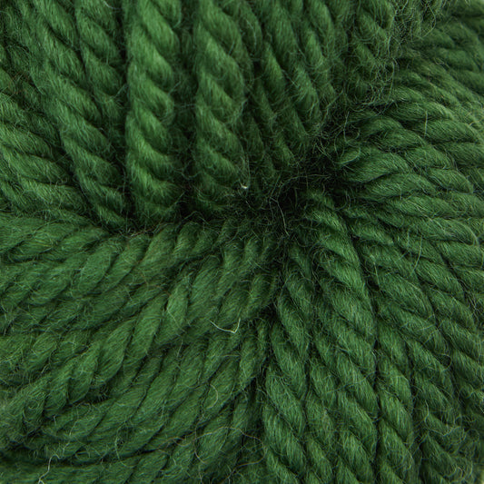 Moss