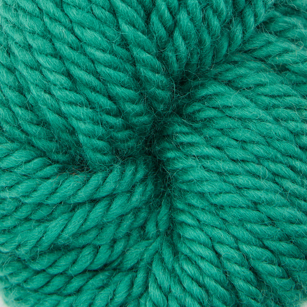 Pine Needle