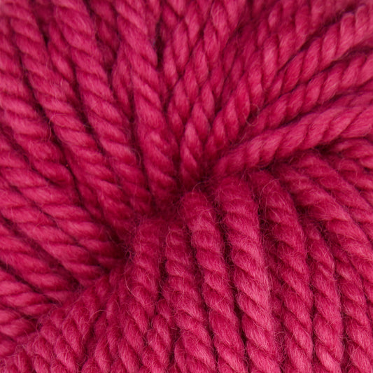 Raspberry Sherbet