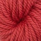 Rose Hip