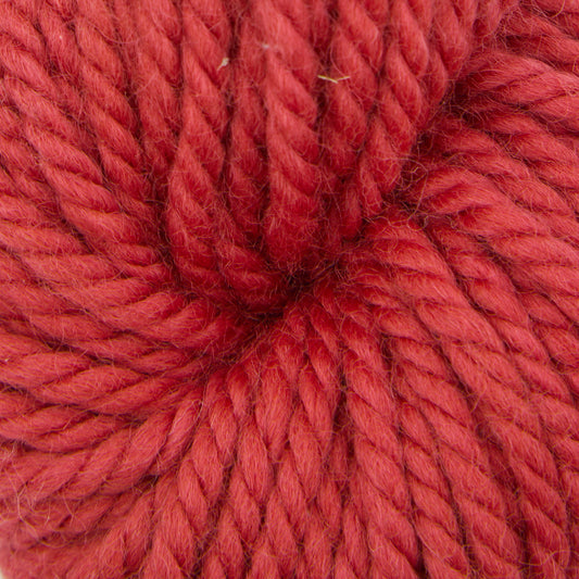 Rose Hip
