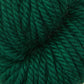 Spinach Leaf