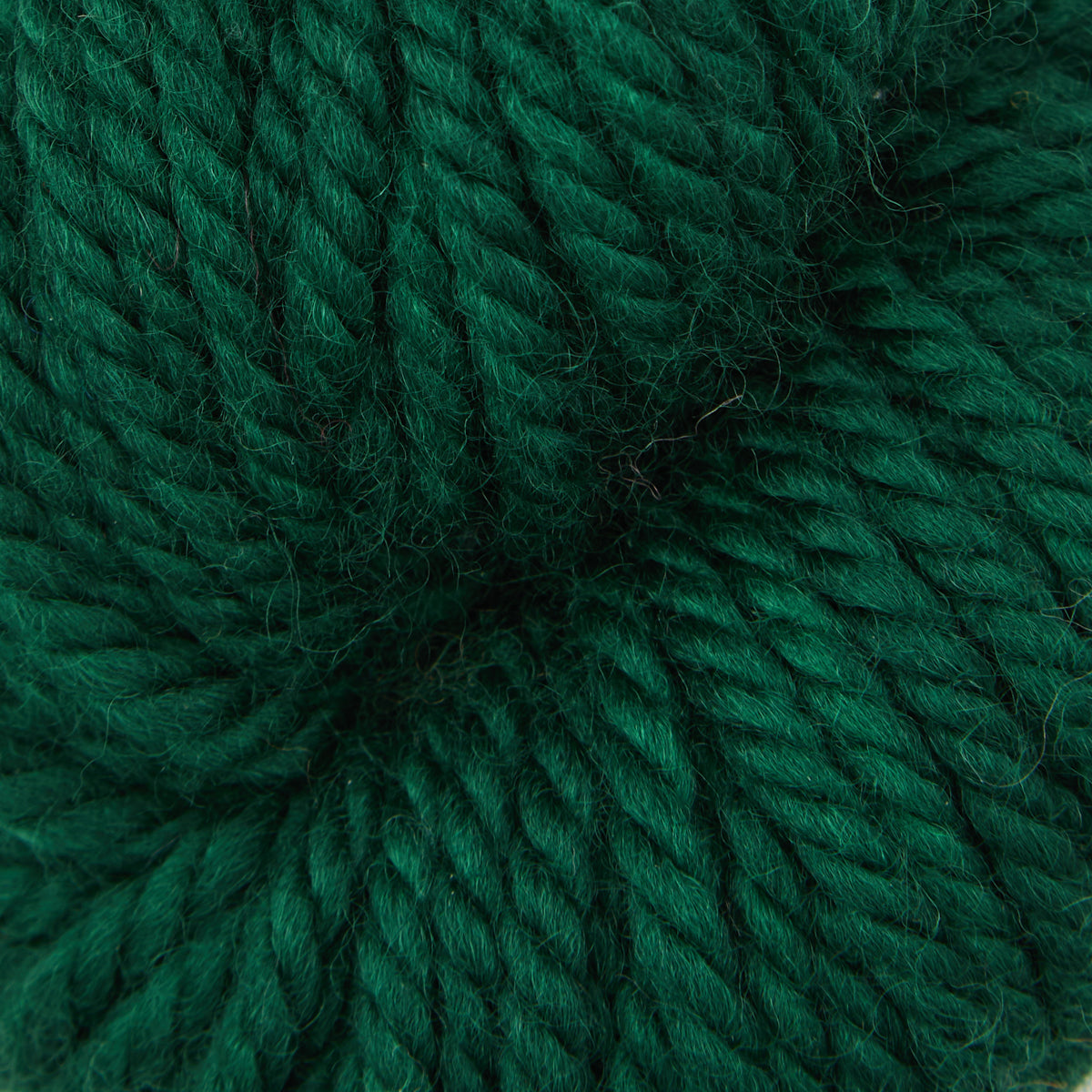 Spinach Leaf