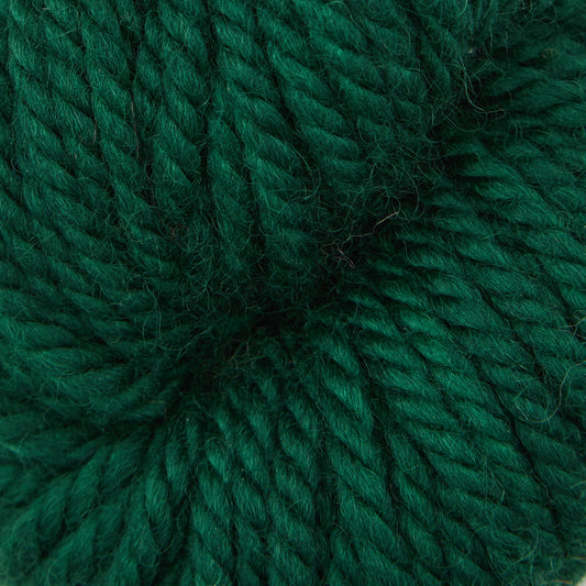 Spinach Leaf