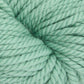 Surf Green